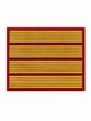 Нашивка курсовка 4 курс прямая пластизоль