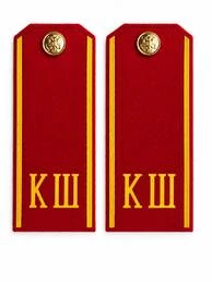 Погоны кадетские КШ, сукно (12 см) с фурнитурой цвет красный