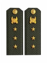 Погоны МО Автомобильные войска зеленые звание Старший Прапорщик Картон