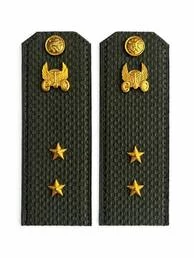 Погоны МО Автомобильные войска зеленые звание Прапорщик Картон