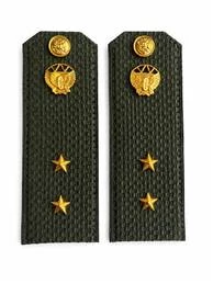 Погоны МО Железнодорожные войска зеленые звание Прапорщик Картон