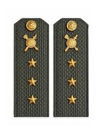 Погоны МО РВСН зеленые звание Старший Прапорщик Картон