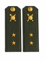 Погоны МО РВСН зеленые звание Прапорщик Картон