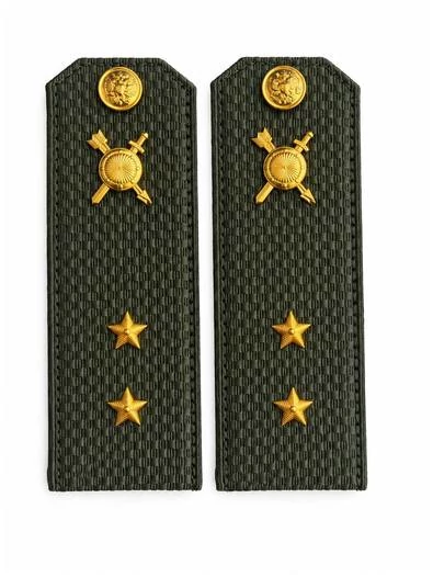 Погоны МО РВСН зеленые звание Прапорщик Картон