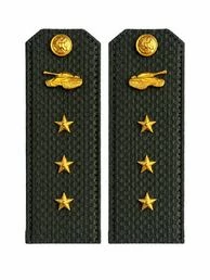 Погоны МО Танковые войска зеленые звание Старший Прапорщик Картон