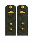 Погоны МО Танковые войска зеленые звание Прапорщик Картон