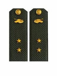 Погоны МО Танковые войска зеленые звание Прапорщик Картон