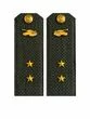 Погоны МО Танковые войска зеленые звание Прапорщик Картон