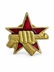 Значок эмблема Спецназ ВВ МВД / Росгвардия, кулак с автоматом на красной звезде на пимсе