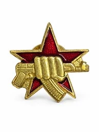 Значок эмблема Спецназ ВВ МВД / Росгвардия, кулак с автоматом на красной звезде на пимсе