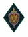 Шеврон ФСБ России ФСБ, ромб, вышитый
