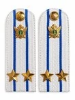 Погоны ФССП с фурнитурой звание Подполковник картон 12 см цвет белый