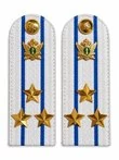 Погоны ФССП с фурнитурой звание Полковник картон 12 см цвет белый