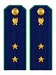 Погоны Прокуратуры темно-синие КАРТОН 13,5 см Звание Прапорщик
