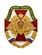Значок Пограничные войска России, двуглавый орёл, красный крест, триколор
