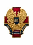 Значок ДМБ Пора домой