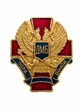 Значок ДМБ Пора домой