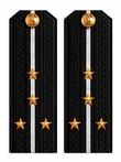 Погоны ВМФ Капитан Лейтенант картон цвет черный с белыми просветами