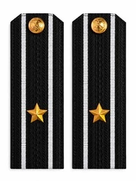 Погоны ВМФ Капитан 3 ранга картон цвет черный с белыми просветами