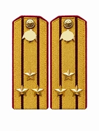 Погоны Росгвардии ФСВНГ парадные золотые картон звание Полковник с эмблемой