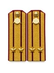 Погоны Росгвардии ФСВНГ парадные золотые картон звание Подполковник с эмблемой