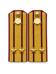 Погоны Росгвардии ФСВНГ парадные золотые картон звание Подполковник с эмблемой