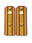 Погоны Росгвардии ФСВНГ парадные золотые картон звание Майор с эмблемой
