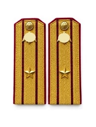 Погоны Росгвардии ФСВНГ парадные золотые картон звание Майор с эмблемой