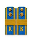 Погоны ВДВ курсантские Голубые К ПЛАСТИК Старший Сержант