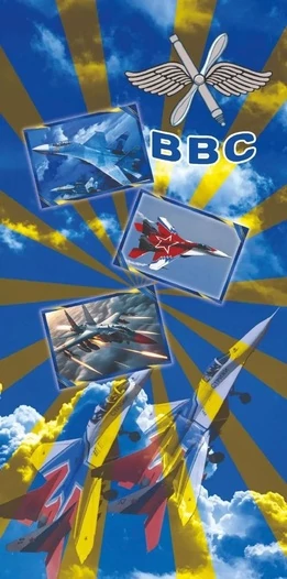 Полотенце для ВВС (хлопок; 75x145см) Премиум