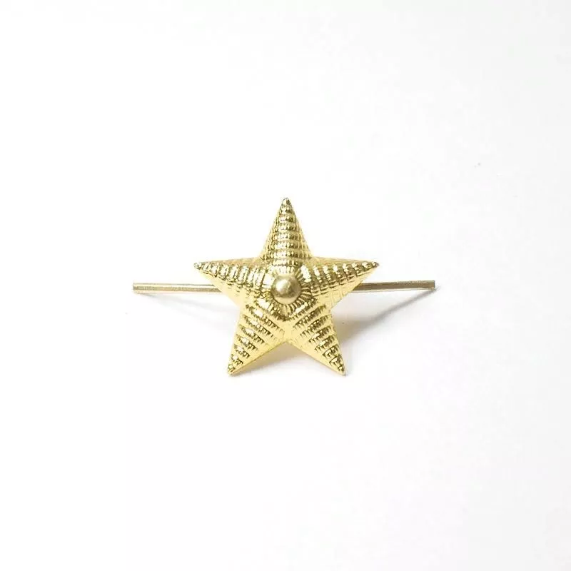Звезда  20 мм золотая рифленая