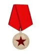 Медаль Ветераны всех войн объединяйтесь 1941-2009. Солдат своей страны