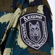 Шеврон VoenPro батальона Леший