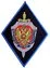 Шеврон ФСБ с васильковым кантом