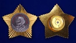 Сувенирный орден Суворова 2 степени №647(411)