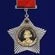 Сувенирный орден Суворова 1 степени (на колодке) №1823