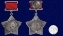 Орден Суворова 3-ей степени (на колодке) в бархатистом подарочном футляре №647Б (330)