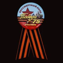 Закатный значок на юбилей Победы «Участник шествия Бессмертный полк»