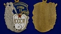 Сувенирный орден Материнская слава 2 степени №729(489)