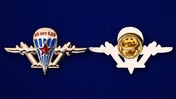Знак-эмблема ВДВ к юбилею