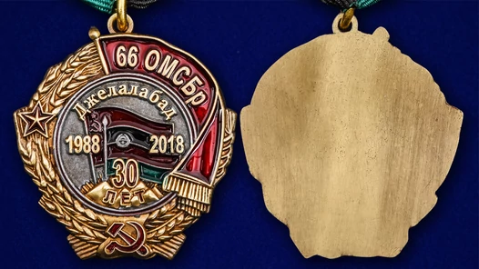 Медаль "30 лет вывода из Афганистана 66 ОМСБр"