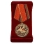 Медаль "Ввод войск в Афганистан"