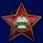 Орден Республики Афганистан «За храбрость» без удостоверения