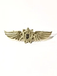 Нагрудный знак классность ФСО М цвет золотистый