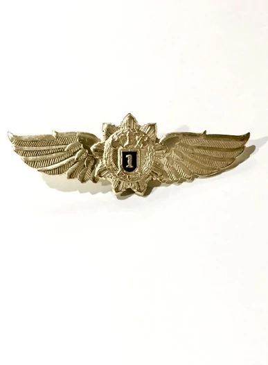 Нагрудный знак классность ФСО 1