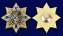 Знак "Морская пехота - 310 лет" в бархатистом наградном футляре из флока