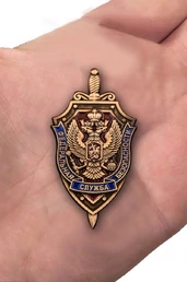 Нагрудный знак "Федеральная служба безопасности"