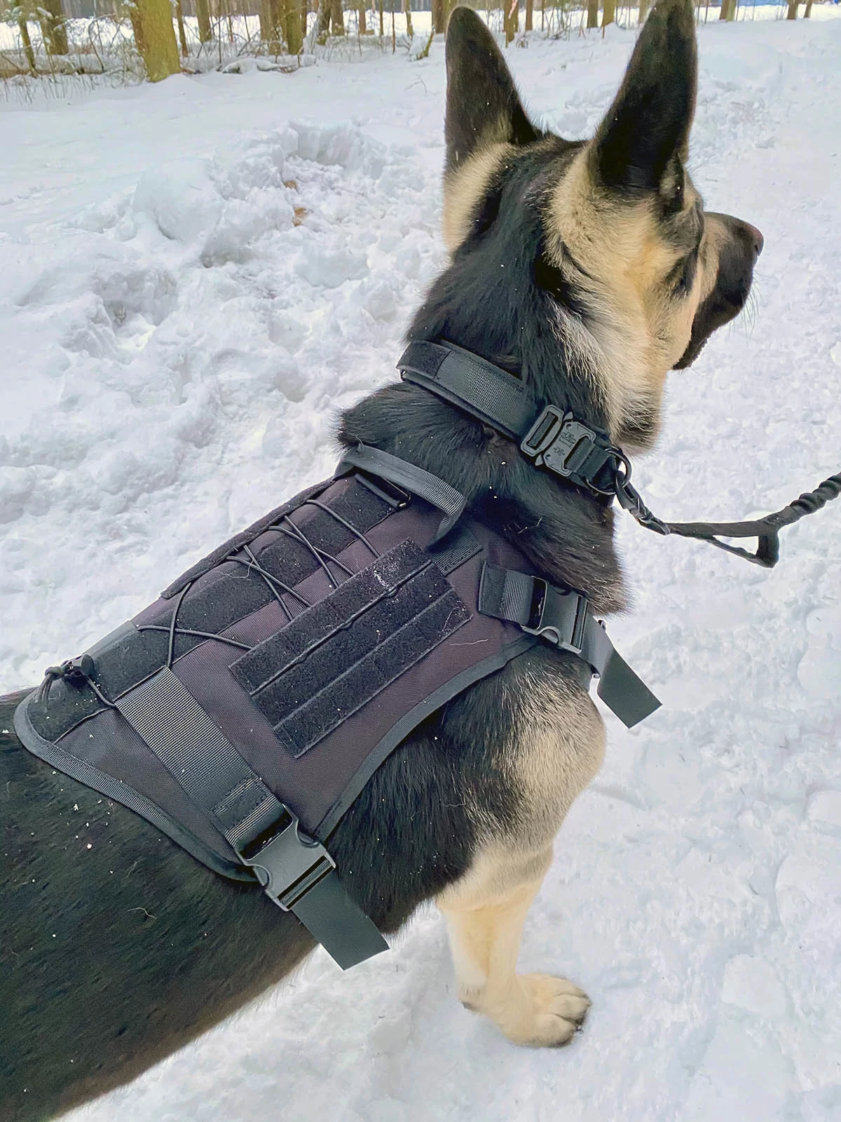 Жилет специального назначения для собак K9 Tactical (черный)