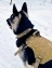 Тренировочный разгрузочный жилет для собак (хаки-песок)