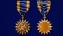 Наградная воздушная медаль США